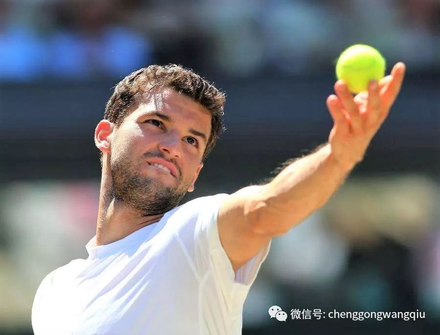 奥萨苏纳的 奥萨苏纳的